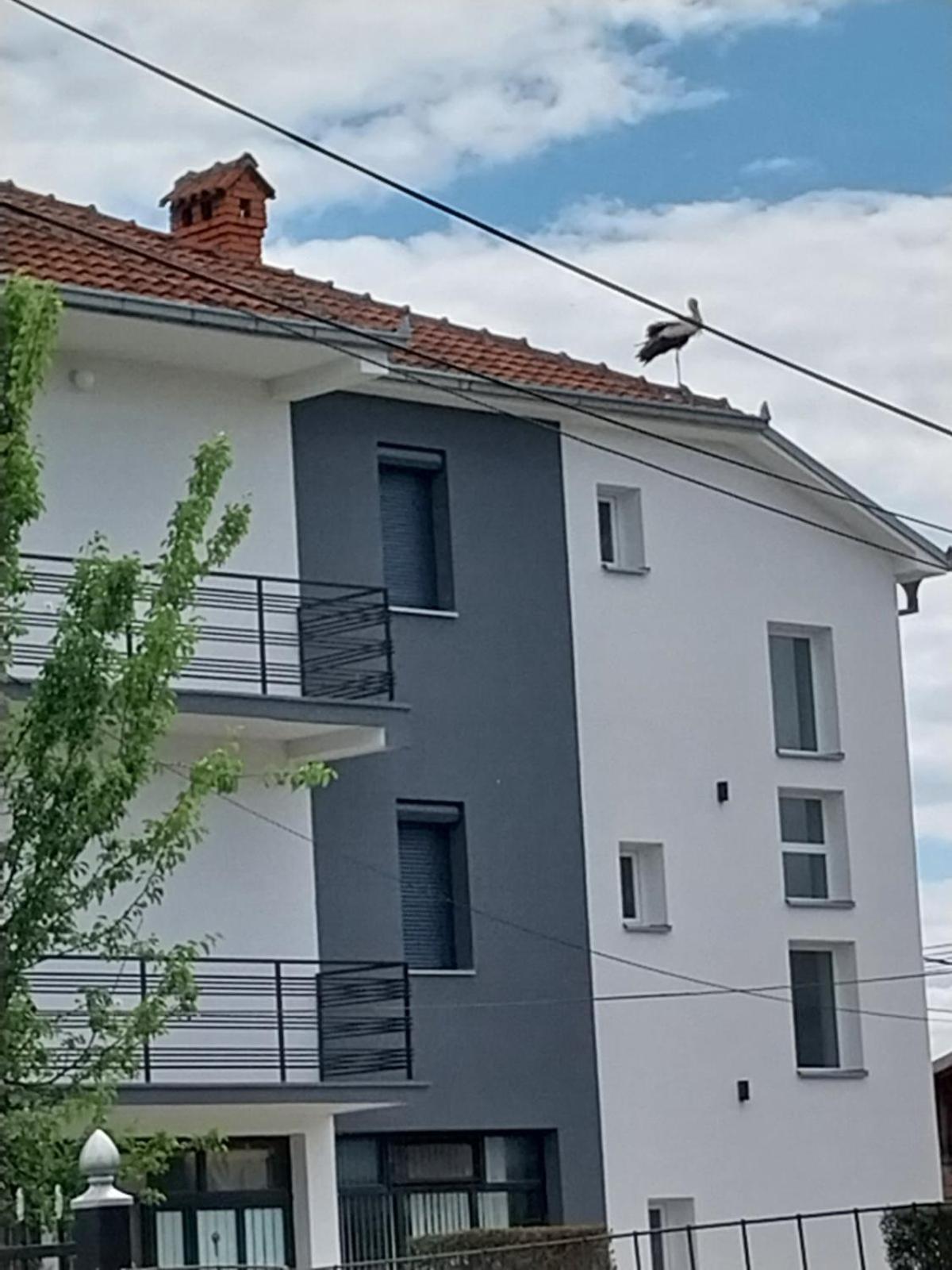 Ambient Apartments Struga Exterior foto